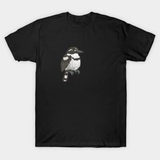 Pied Puffbird T-Shirt